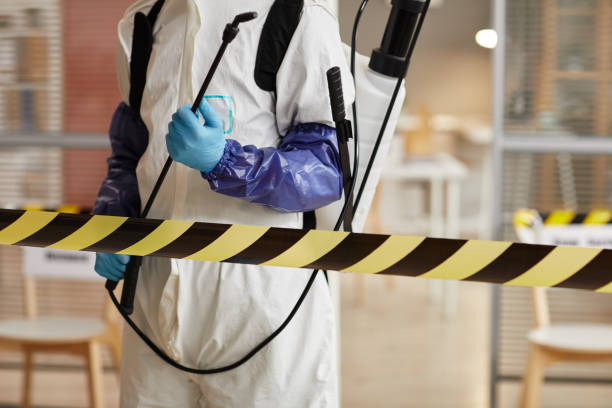 Professional Sewage Cleanup technician working in Springfield, MA
